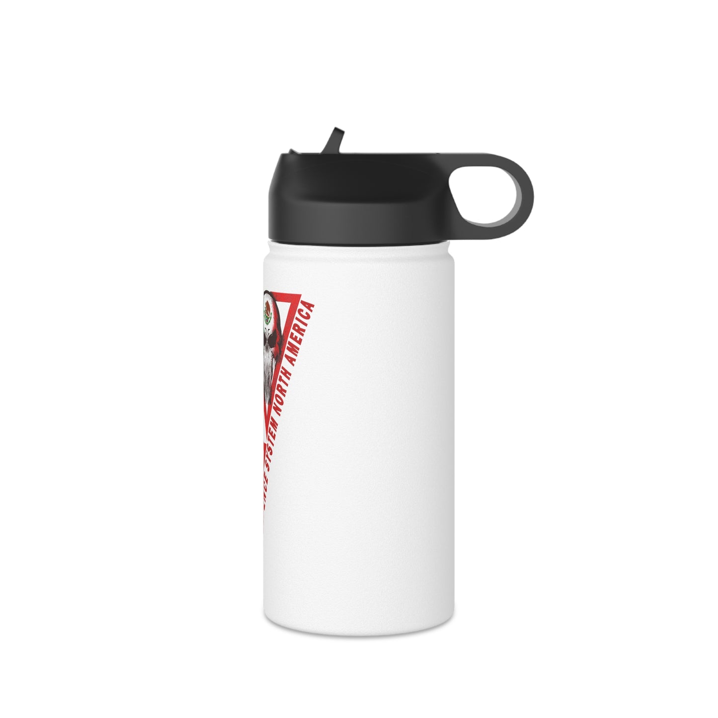 MDS North America Stainless Steel Water Bottle with straw