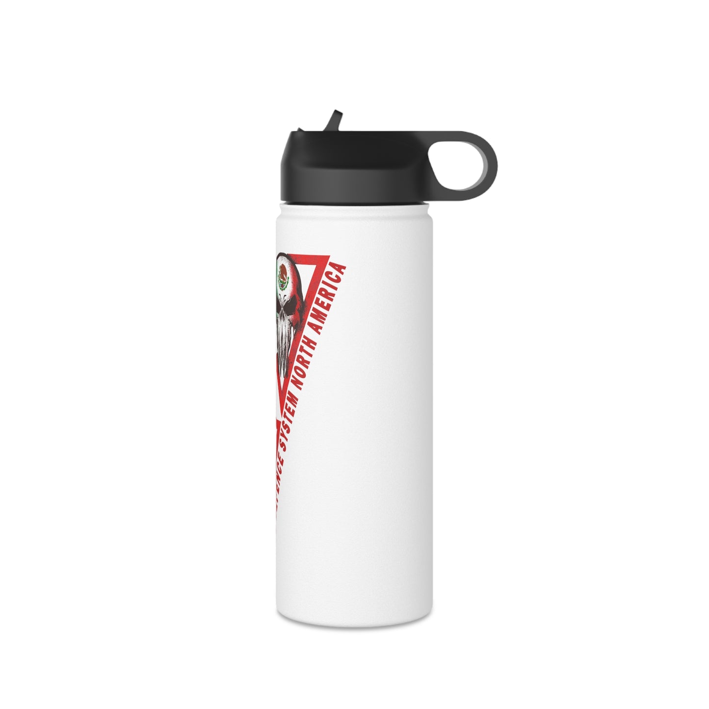 MDS North America Stainless Steel Water Bottle with straw