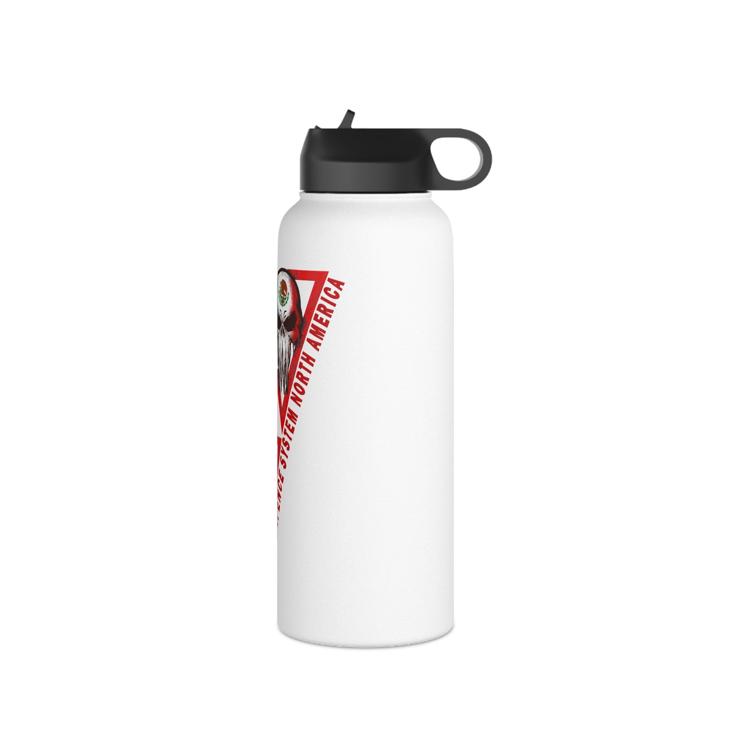 MDS North America Stainless Steel Water Bottle with straw